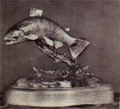 Click image to enlarge