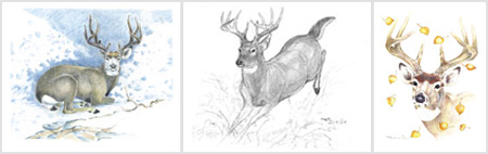 Deer Art Gallery